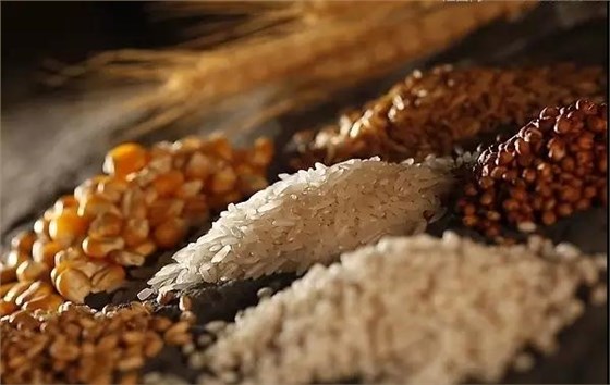 比傳統(tǒng)釀酒設(shè)備效率低下更糟糕的，是您無法打破傳統(tǒng)思維模式-04