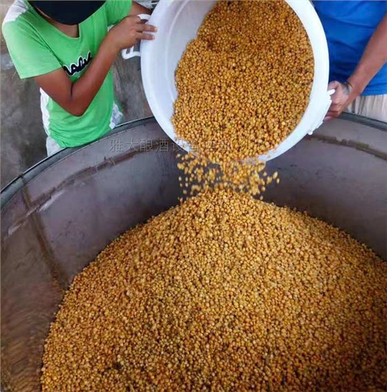 原料中含醇類物質(zhì) 原料中含醇類物質(zhì)