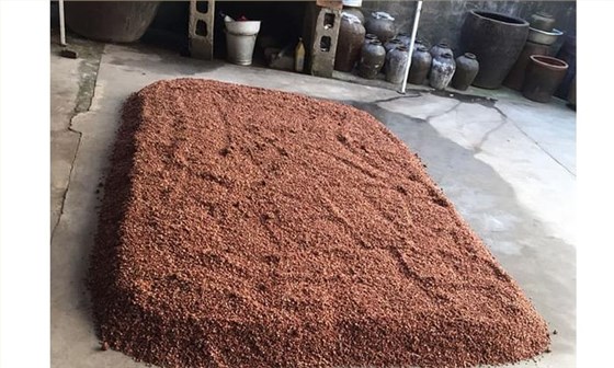 農(nóng)村小型燒酒設(shè)備小作坊釀造高粱酒工藝流程-高粱糖化 農(nóng)村小型燒酒設(shè)備小作坊釀造高粱酒工藝流程-高粱糖化