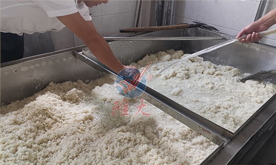 5-淋飯 5-淋飯