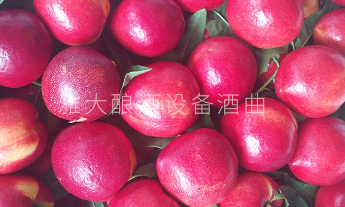 選用成熟新的桃子釀桃子酒 選用成熟新的桃子釀桃子酒