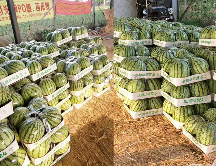 充分利用資源變廢為寶 充分利用資源變廢為寶