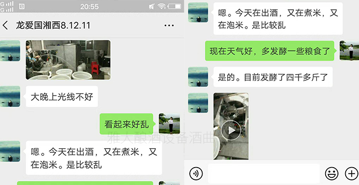 純糧食酒銷量好 純糧食酒銷量好