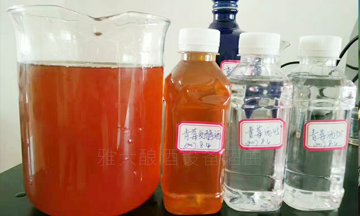 11-青梅泡酒發(fā)酵酒 11-青梅泡酒發(fā)酵酒
