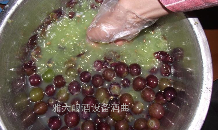 17-終于知道紅葡萄酒和白葡萄酒差在哪了-在家不用蒸酒設(shè)備都可以做3 17-終于知道紅葡萄酒和白葡萄酒差在哪了-在家不用蒸酒設(shè)備都可以做3