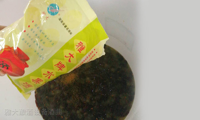 4-「釀酒教學(xué)報道」雅大酒廠釀酒設(shè)備葡萄酒實操課進(jìn)行中3加入酒曲 4-「釀酒教學(xué)報道」雅大酒廠釀酒設(shè)備葡萄酒實操課進(jìn)行中3加入酒曲