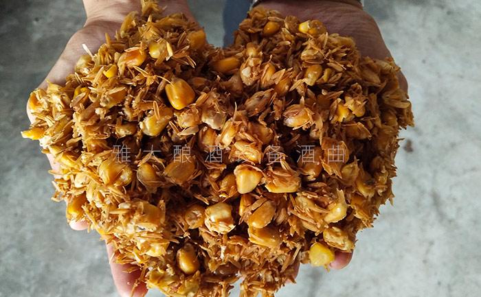 8.28玉米發(fā)酵完成后，玉米粒中無淀粉