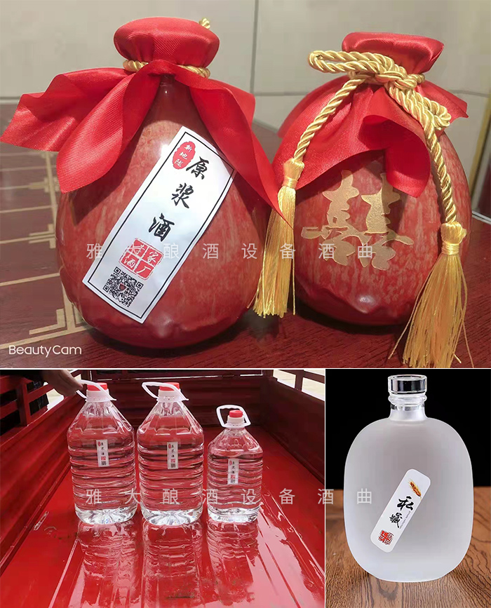 12.18致富新模式，用烤酒設(shè)備蒸酒后的酒糟飼養(yǎng)肉牛成本低，效益高-瓶裝酒